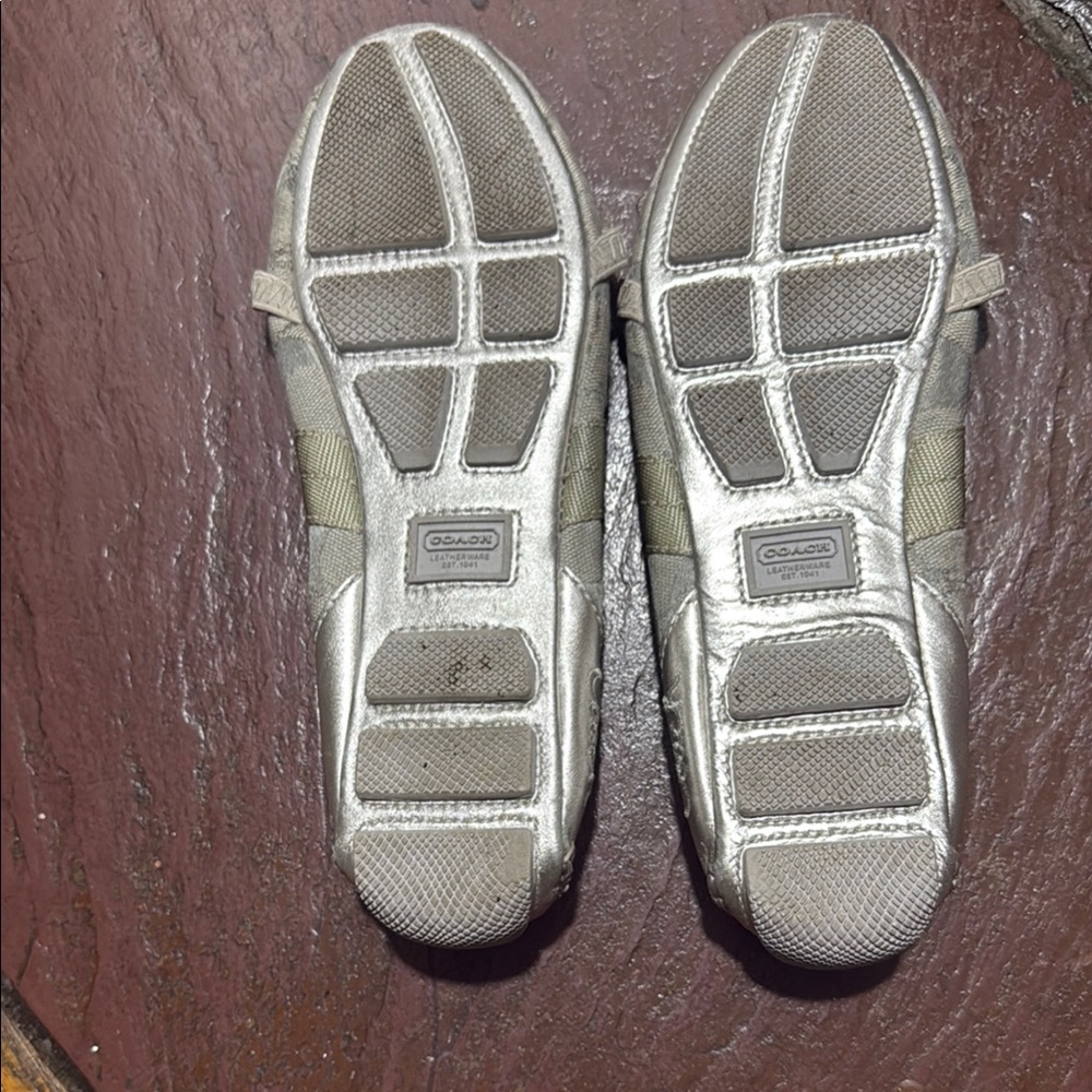 Coach Silver Flats for Timeless Style